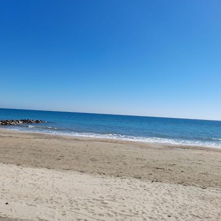 Joli T2 Rdc, Bord De Mer , Piscine , Aresquiers Frontignan Plage 34 エクステリア 写真